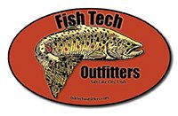 Logo Fish Tech