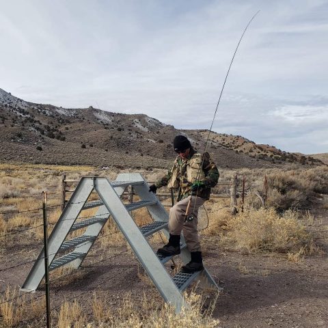 Weber River Crossover 4